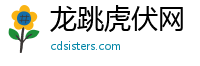 龙跳虎伏网